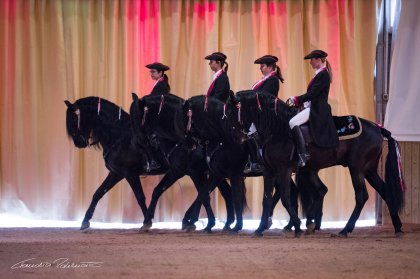 Equestrian and musical show in Menorca